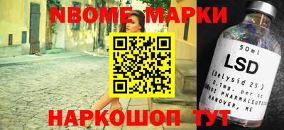 крисы Можга