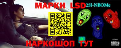 крисы Можга
