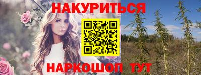 крисы Можга