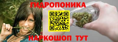 крисы Можга