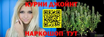 крисы Можга