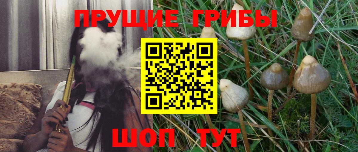 Галлюциногенные грибы Psilocybe  Вход с VPN  Тула 