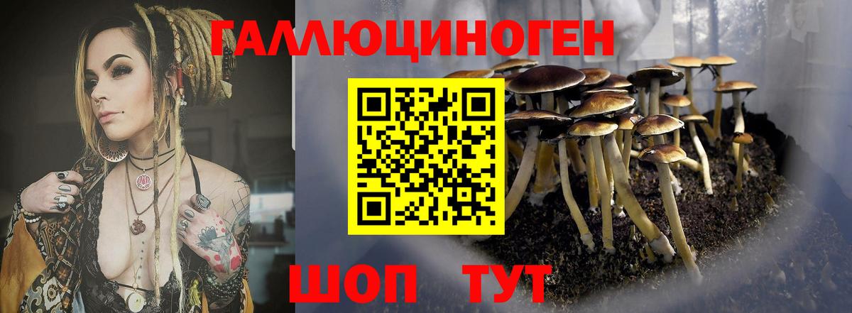 Псилоцибиновые грибы Magic Shrooms Тула